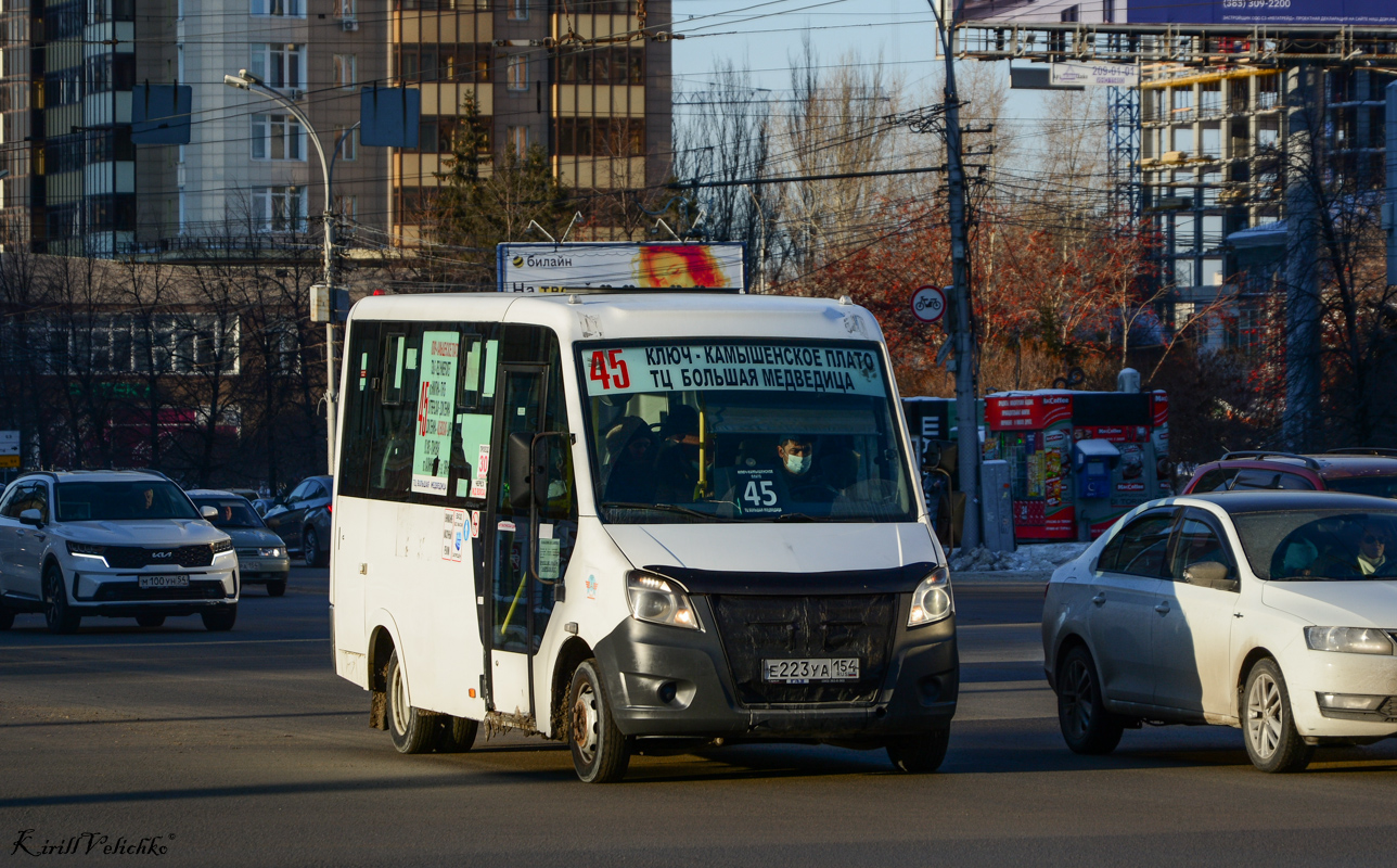 Новосибирская область, ГАЗ-A64R42 Next № Е 223 УА 154