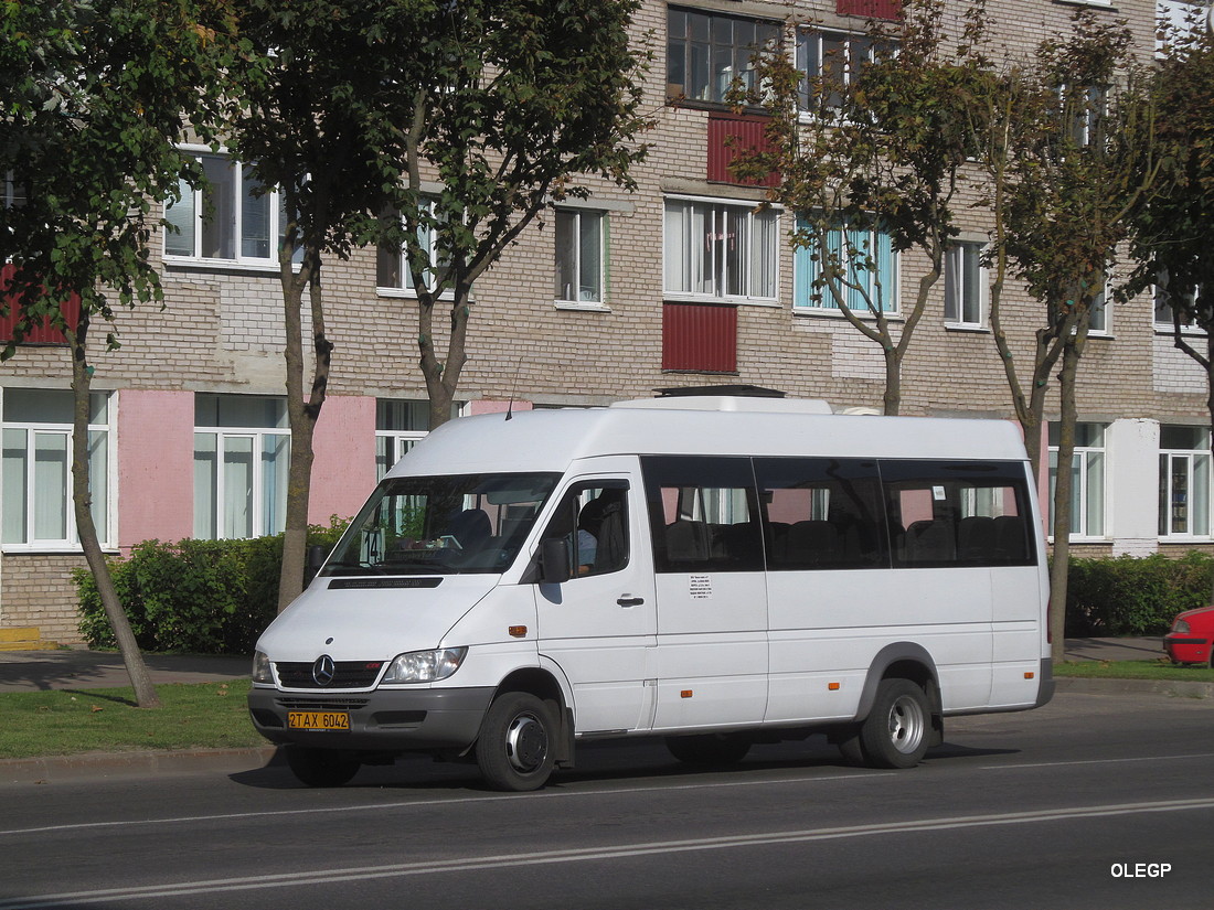 Витебская область, Луидор-223237 (MB Sprinter Classic) № 2 ТАХ 6042