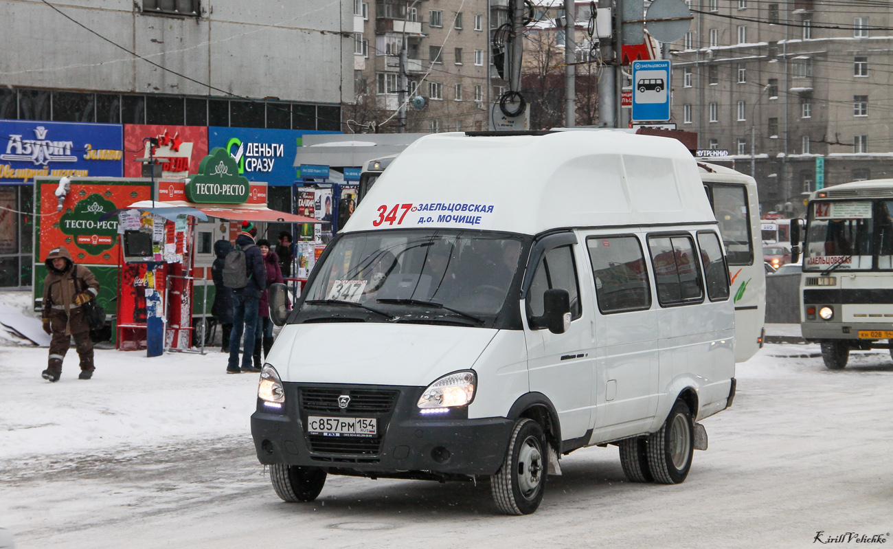 Новосибирская область, Луидор-225000 (ГАЗ-322133) № С 857 РМ 154