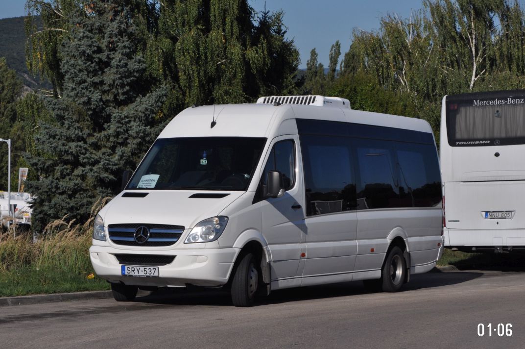 Венгрия, Mercedes-Benz Sprinter W906 519CDI № SRY-537