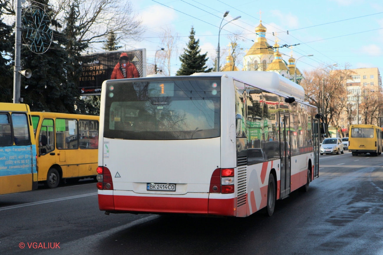 Ровненская область, MAN A21 Lion's City NL243 CNG № BK 2414 CO