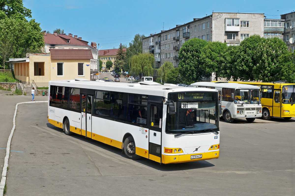 Kaliningrad region, Alfabusz Regio # 019