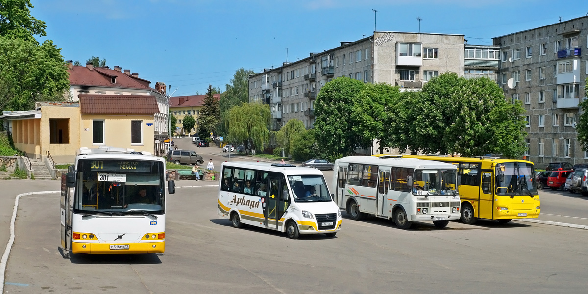 Kaliningrad region, Alfabusz Regio # 019; Kaliningrad region, GAZ-A64R42 Next # 004