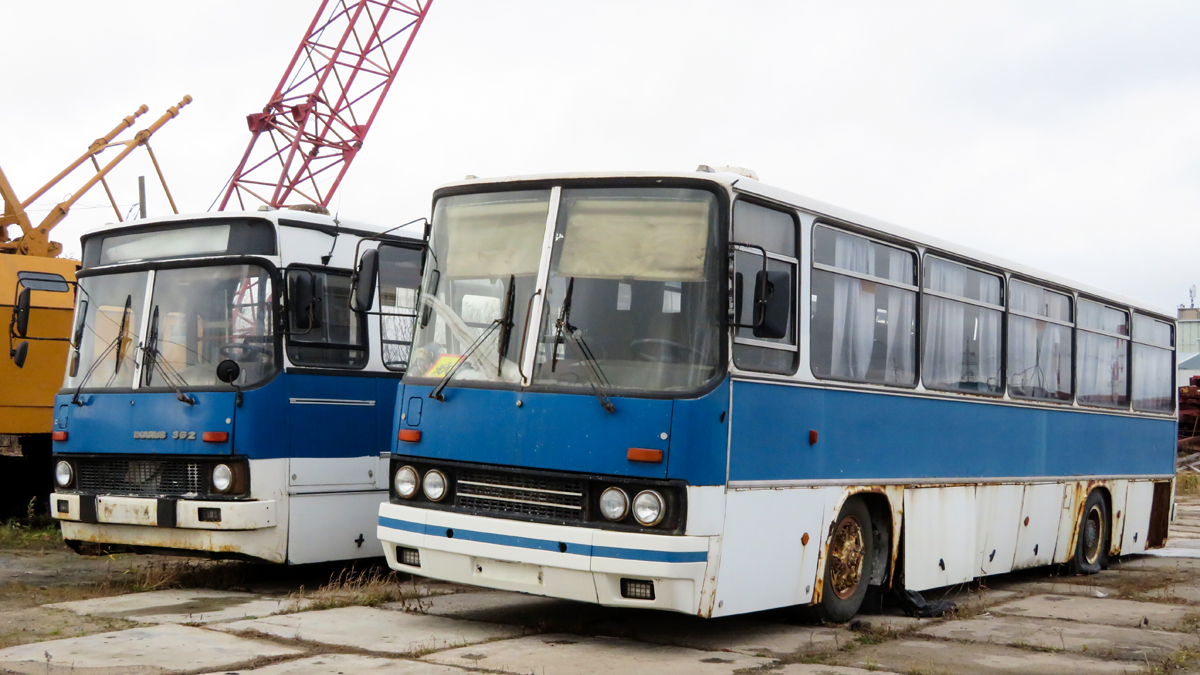 Архангельская область, Ikarus 256.74 № АС 111 29