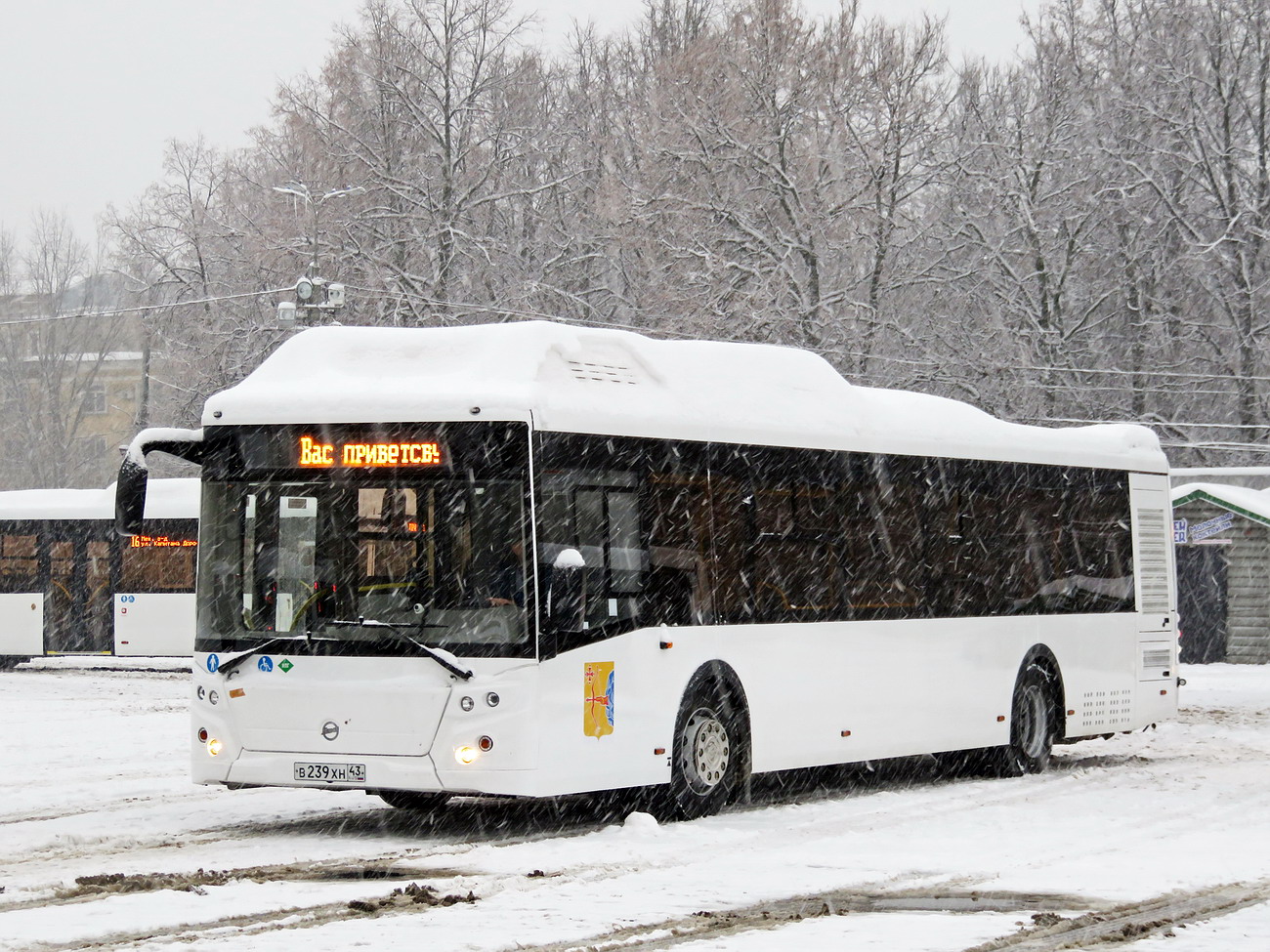 Кировская область, ЛиАЗ-5292.67 (CNG) № х688