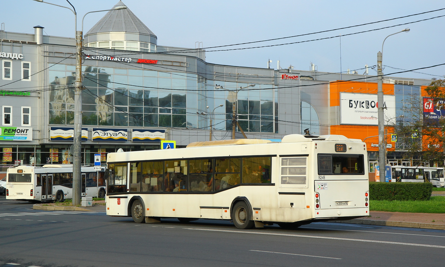 Санкт-Петербург, МАЗ-103.486 № 8248