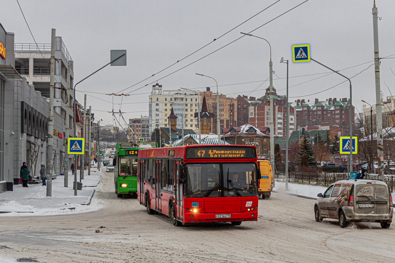 Татарстан, МАЗ-103.465 № 215