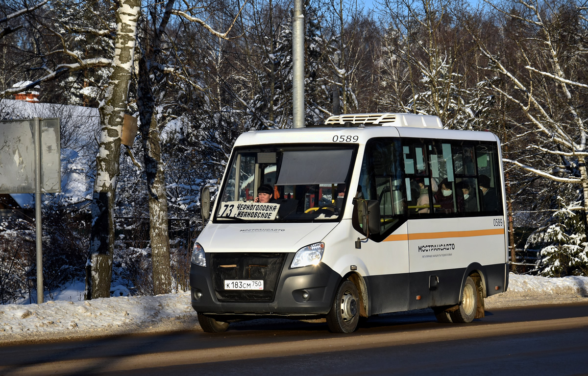 Маскоўская вобласць, Луидор-2250DS (ГАЗ Next) № 0589