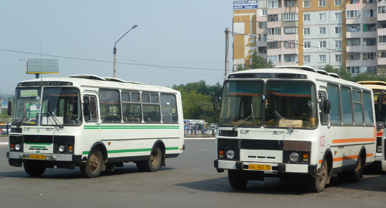 Омская область, ПАЗ-3205 (00) № АВ 650 55; Омская область, ПАЗ-3205 (00) № 103