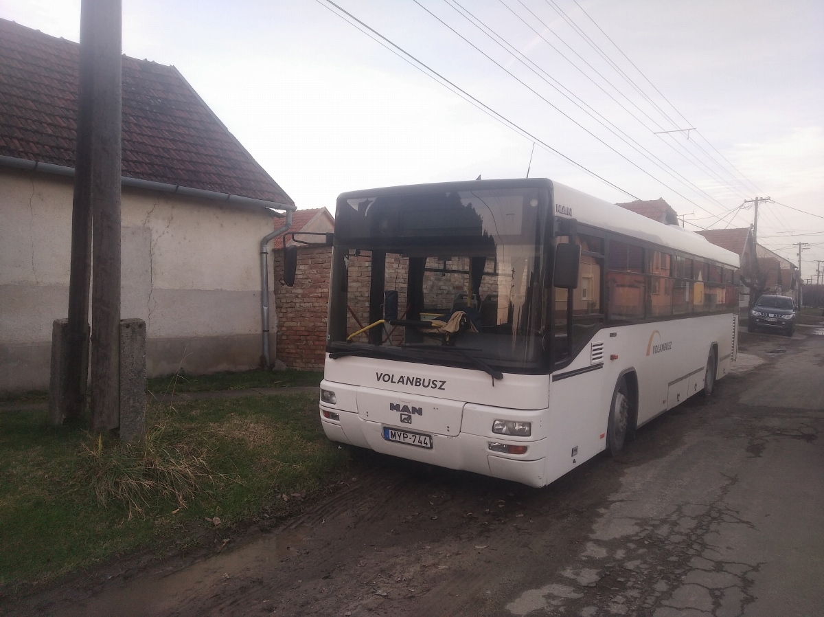 Венгрия, MAN A74 Lion's Classic SL223 № MYP-744