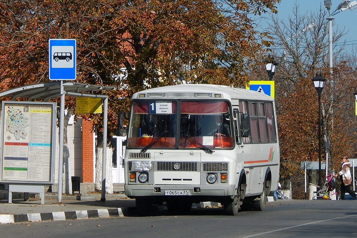 Белгородская область, ПАЗ-32054 № Т 065 СА 31