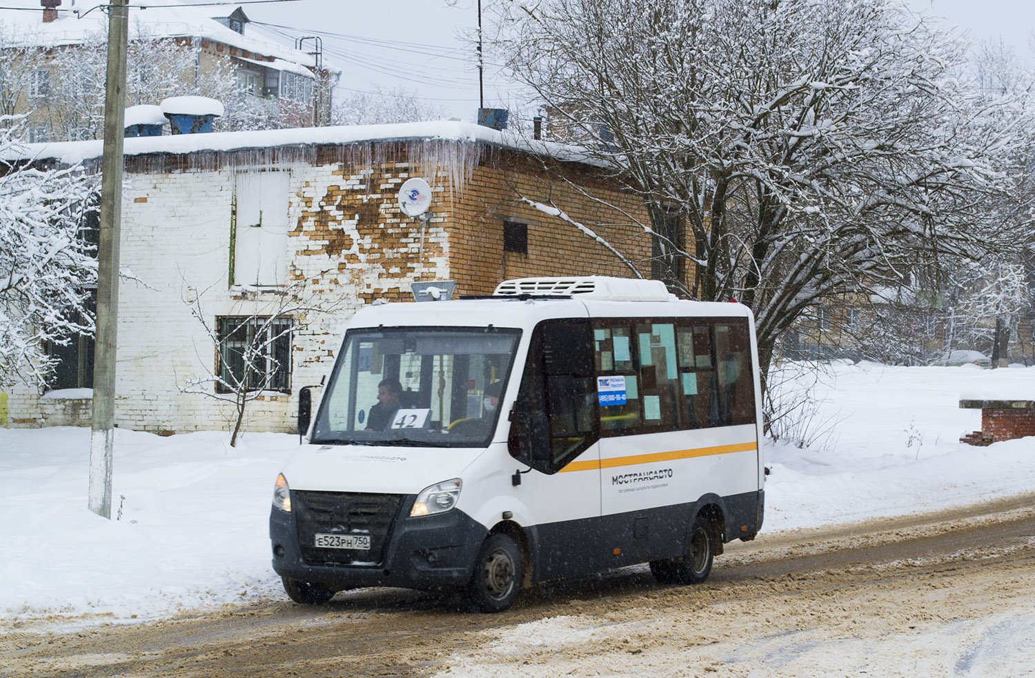 Московская область, Луидор-2250DS (ГАЗ Next) № 3237