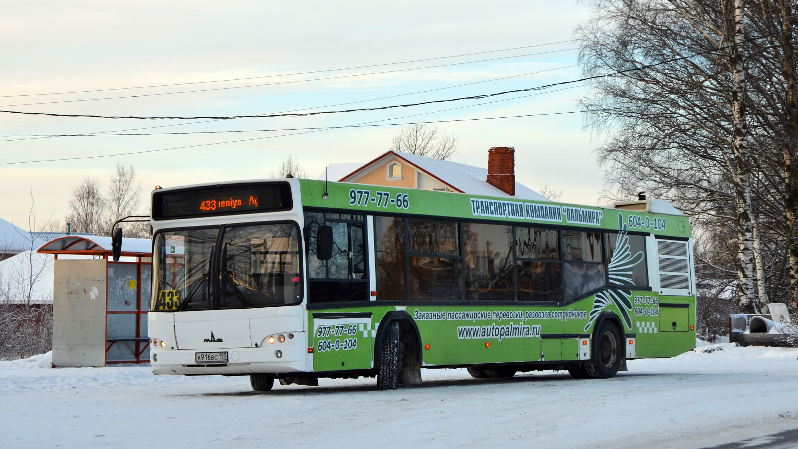 Санкт-Петербург, МАЗ-103.486 № А 916 ВС 198