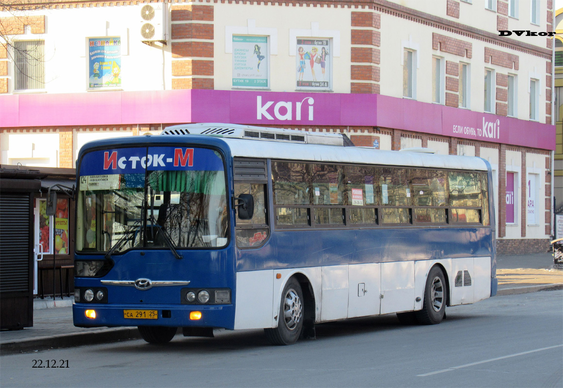 Primorskiy region, Hyundai AeroCity 540 č. СА 291 25 Primorskiy region, Hyundai AeroCity 540 č. СА 291 25