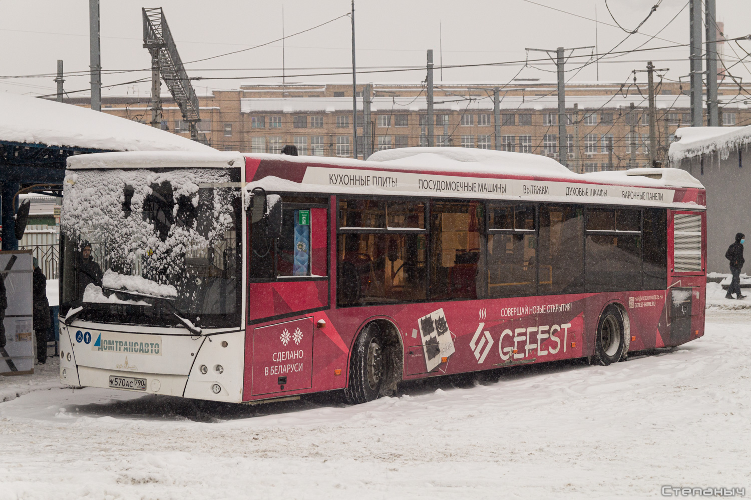 Московская область, МАЗ-203.016 № К 570 АС 790