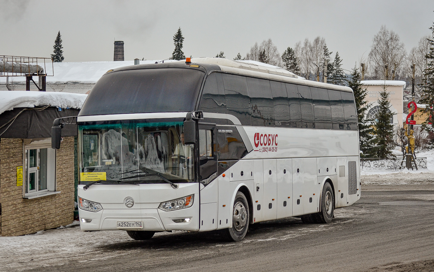 Кемеровская область - Кузбасс, Golden Dragon XML6126JR Triumph № А 252 ЕУ 142