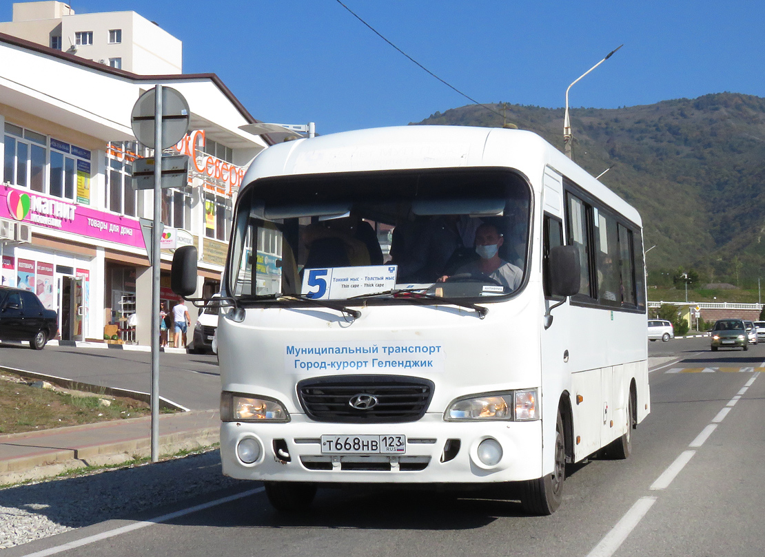 Краснодарский край, Hyundai County LWB C11 (ТагАЗ) № Т 668 НВ 123