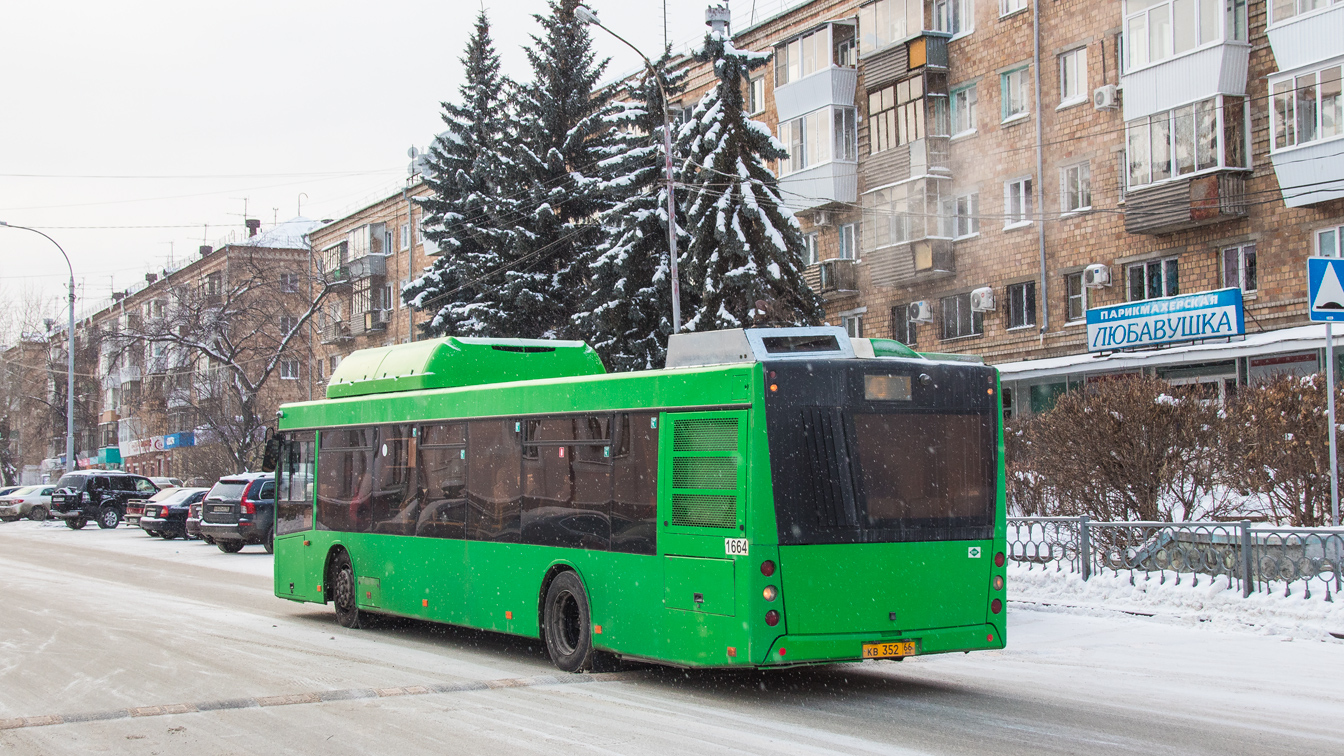 Свердловская область, МАЗ-203.L65 № 1664