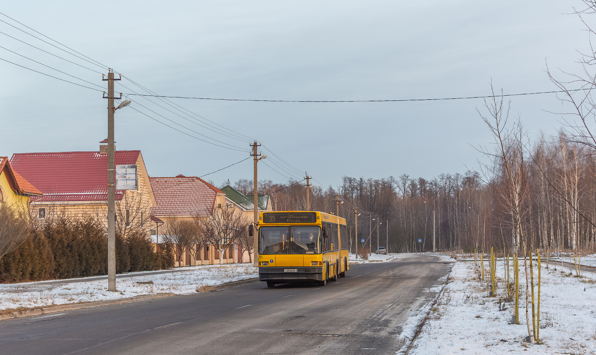 Гомельская область, МАЗ-105.065 № 016111