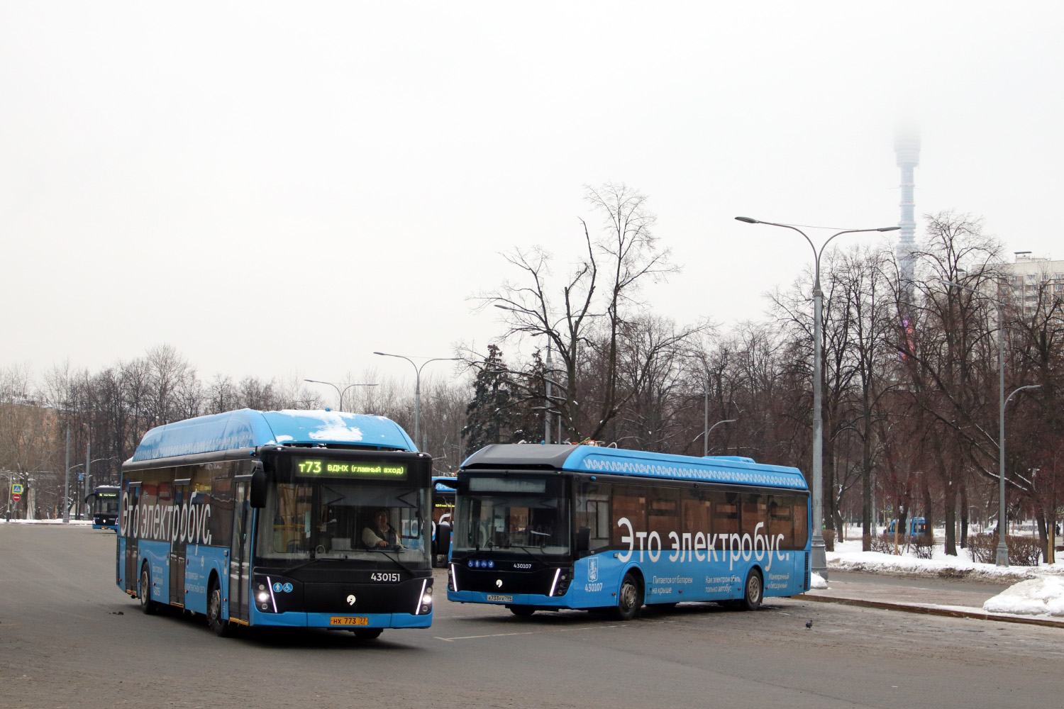 Москва, ЛиАЗ-6274 № 430151; Москва — Автобусные вокзалы, станции и конечные остановки