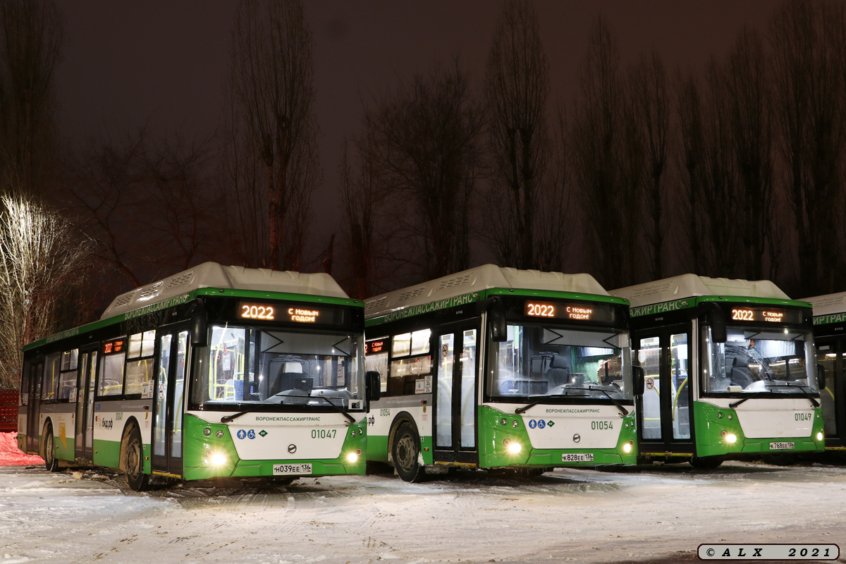 Воронежская область, ЛиАЗ-5292.67 (CNG) № 01047; Воронежская область — Разные фотографии