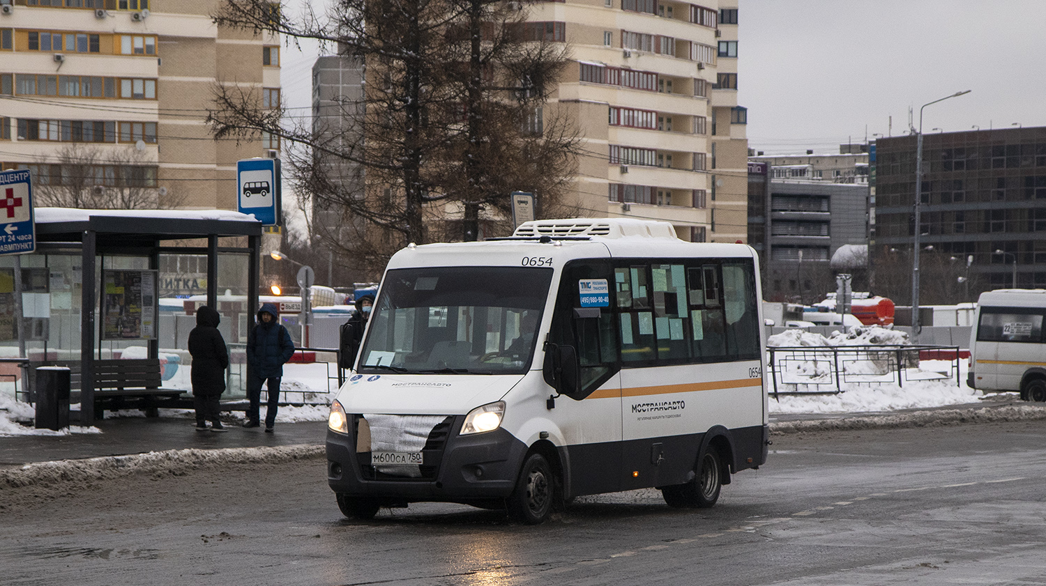 Московская область, Луидор-2250DS (ГАЗ Next) № М 600 СА 750