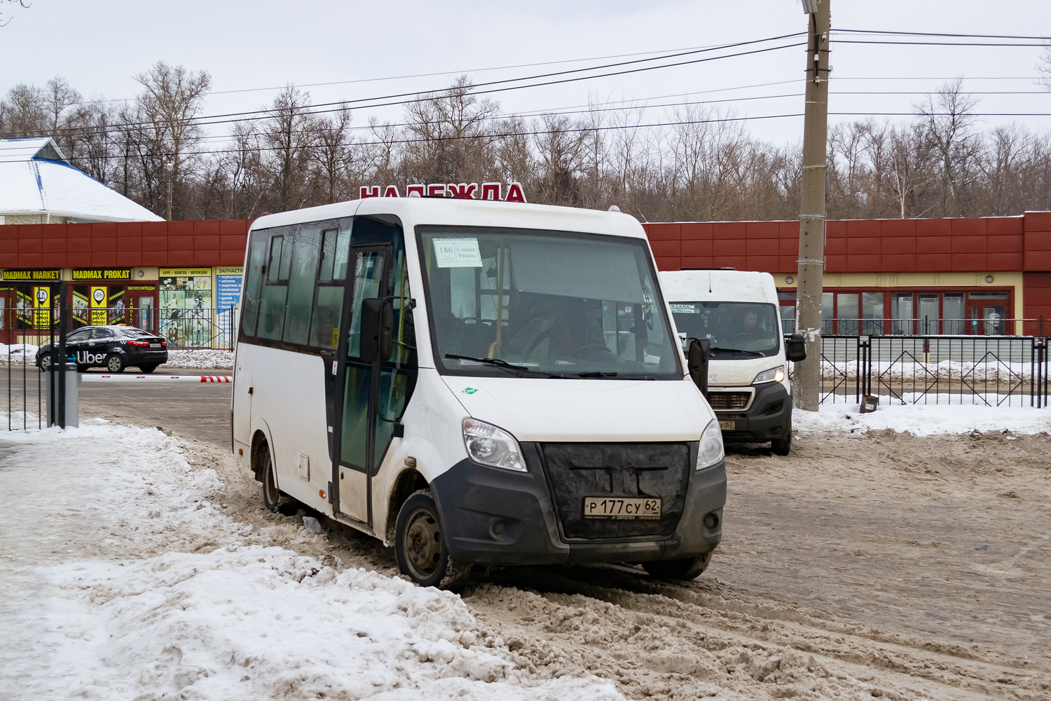 Рязанская область, ГАЗ-A63R45 Next № Р 177 СУ 62