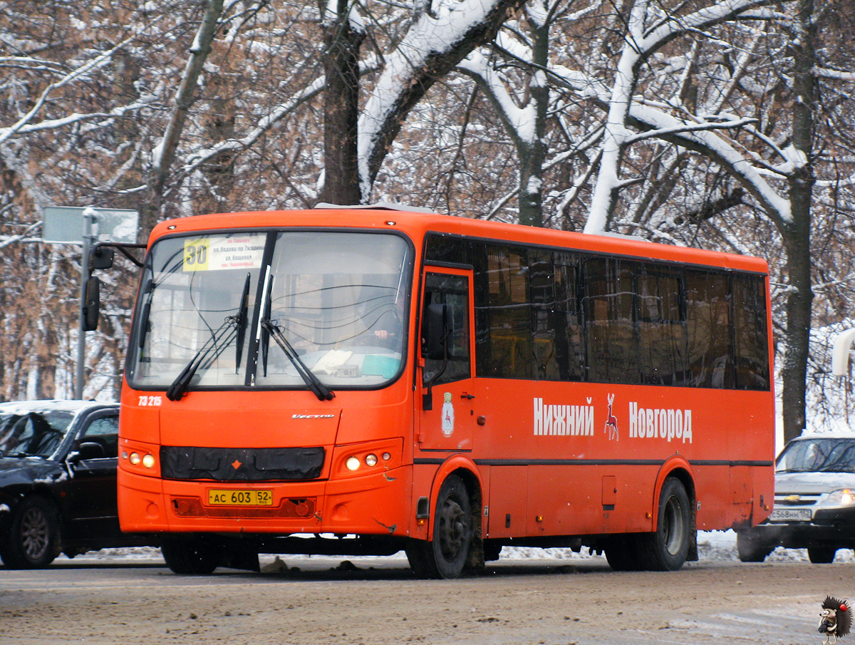 Нижегородская область, ПАЗ-320414-05 "Вектор" (1-2) № 73215