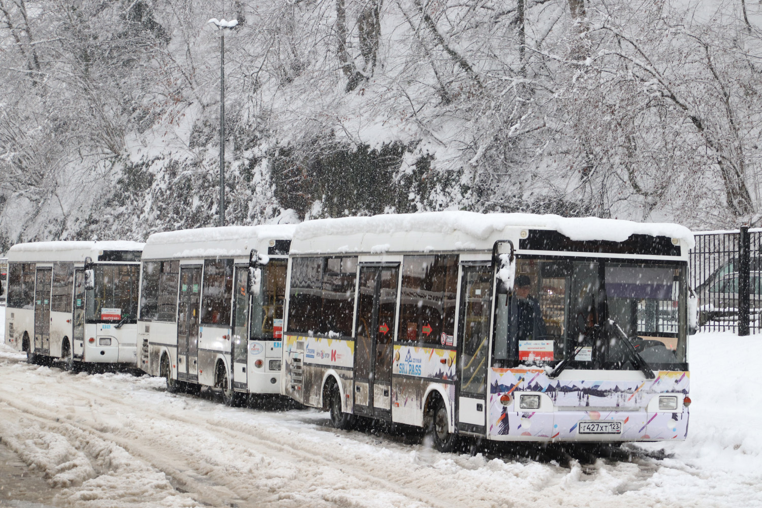 Краснодарский край, ПАЗ-3237-05 № Т 427 ХТ 123