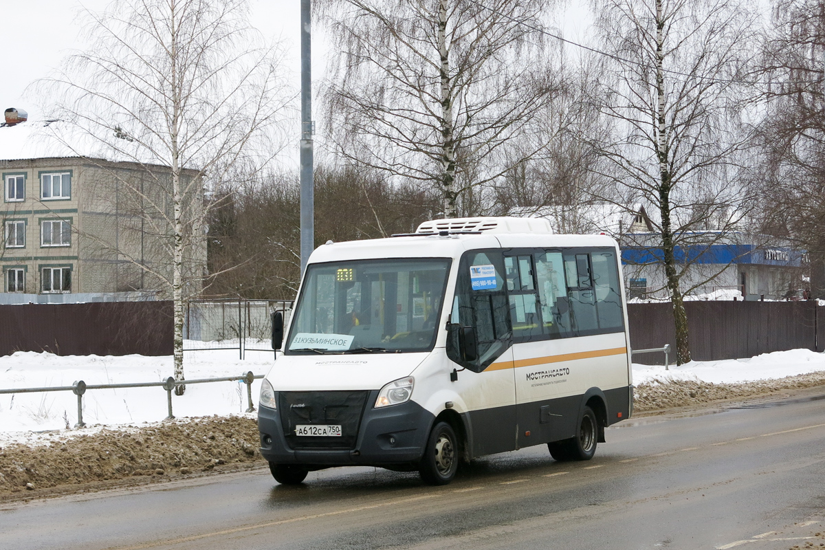 Московская область, Луидор-2250DS (ГАЗ Next) № 0924