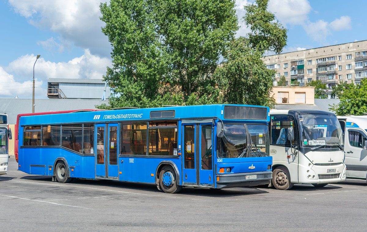 Гомельская область, МАЗ-103.С62 № 036341