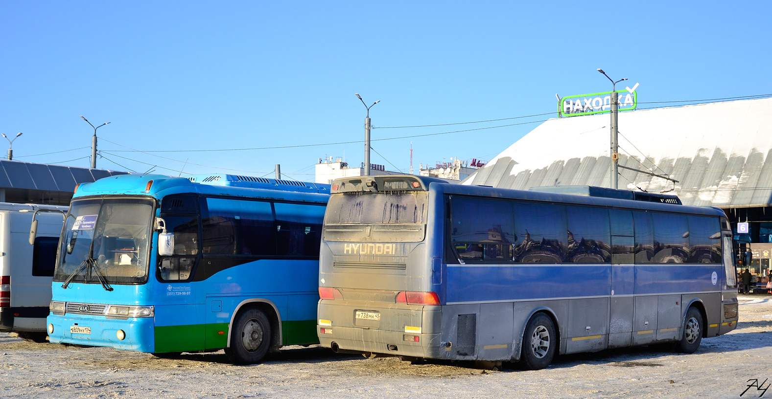 Курганская область, Hyundai AeroExpress HSX № 1101