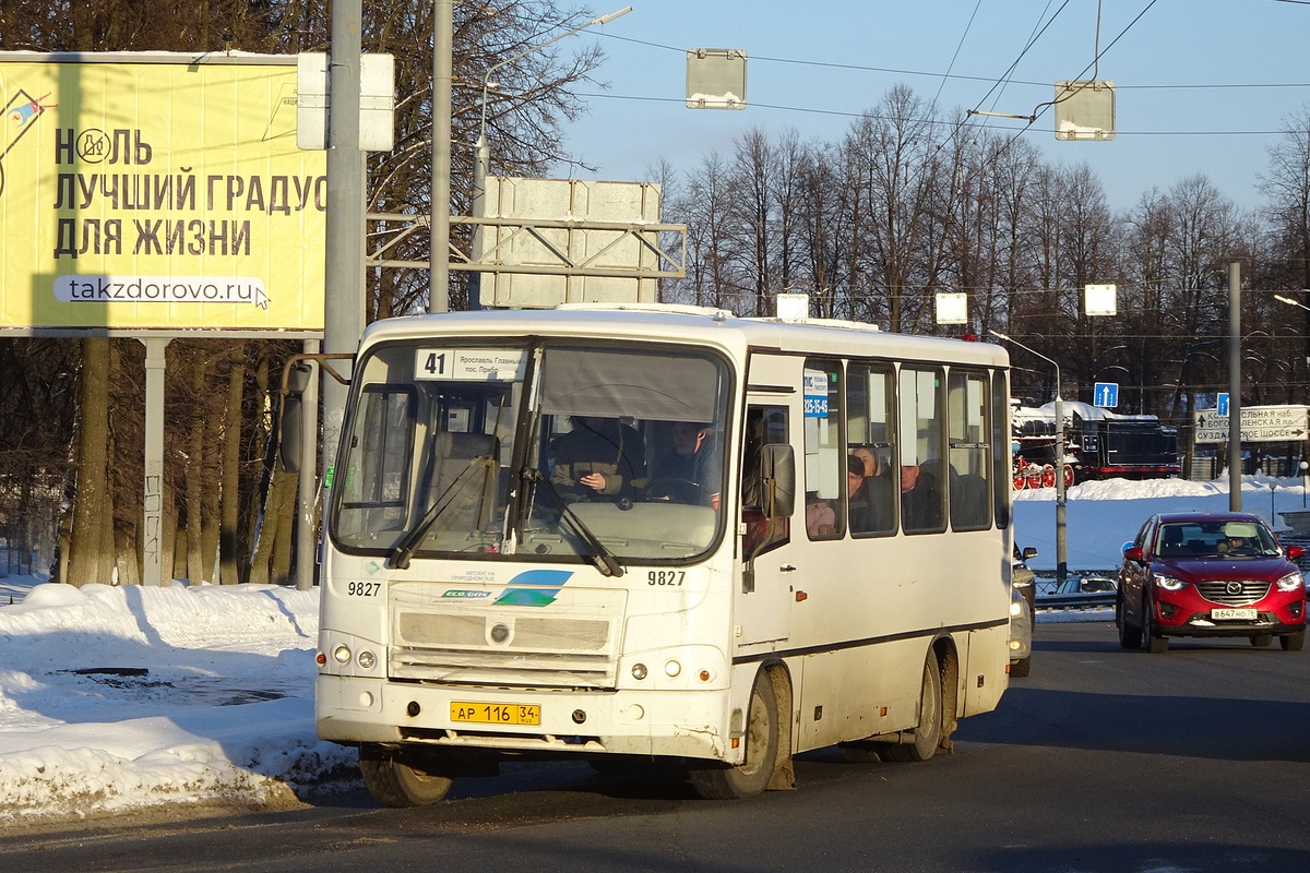 Ярославская область, ПАЗ-320302-11 № 9827