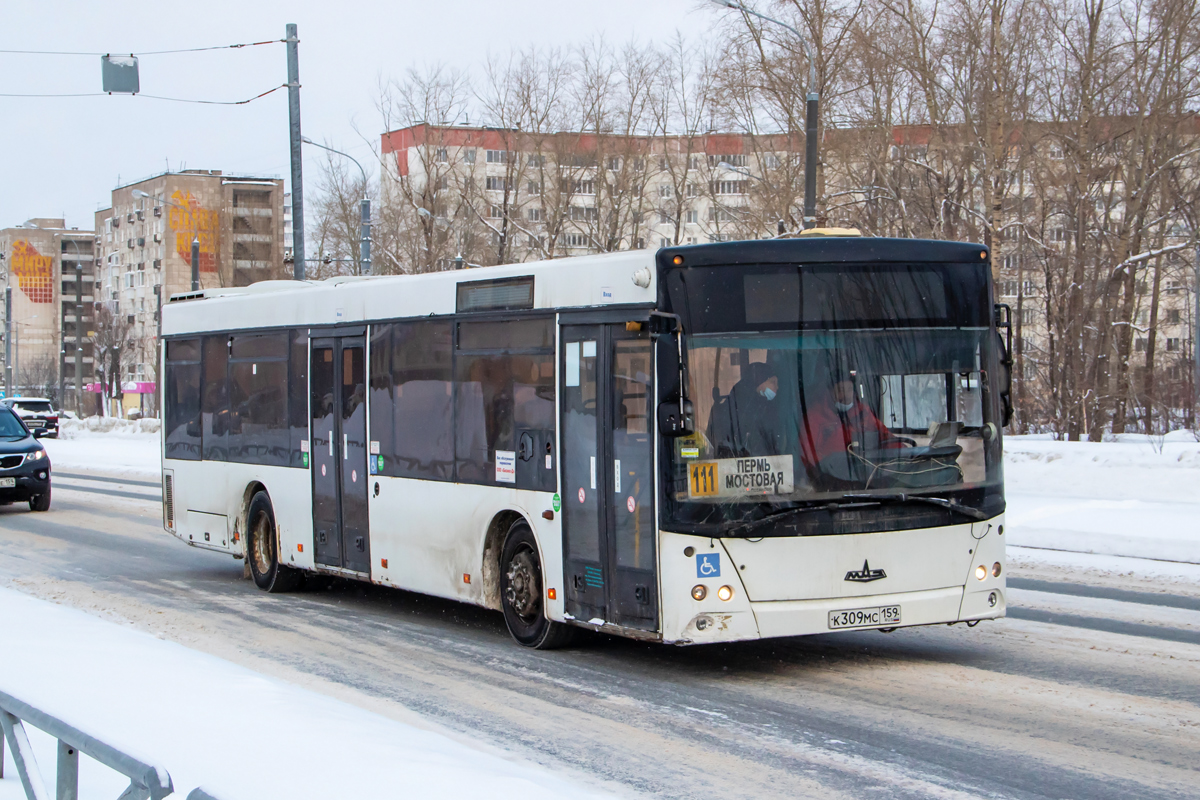 Пермский край, МАЗ-203.167 № К 309 МС 159