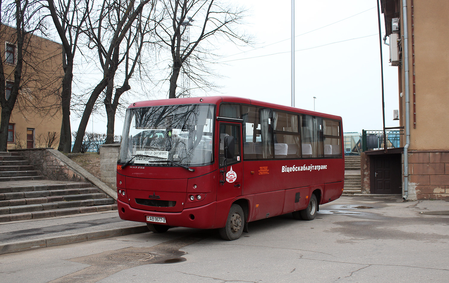 Vitebsk region, MAZ-256.170 č. 019879