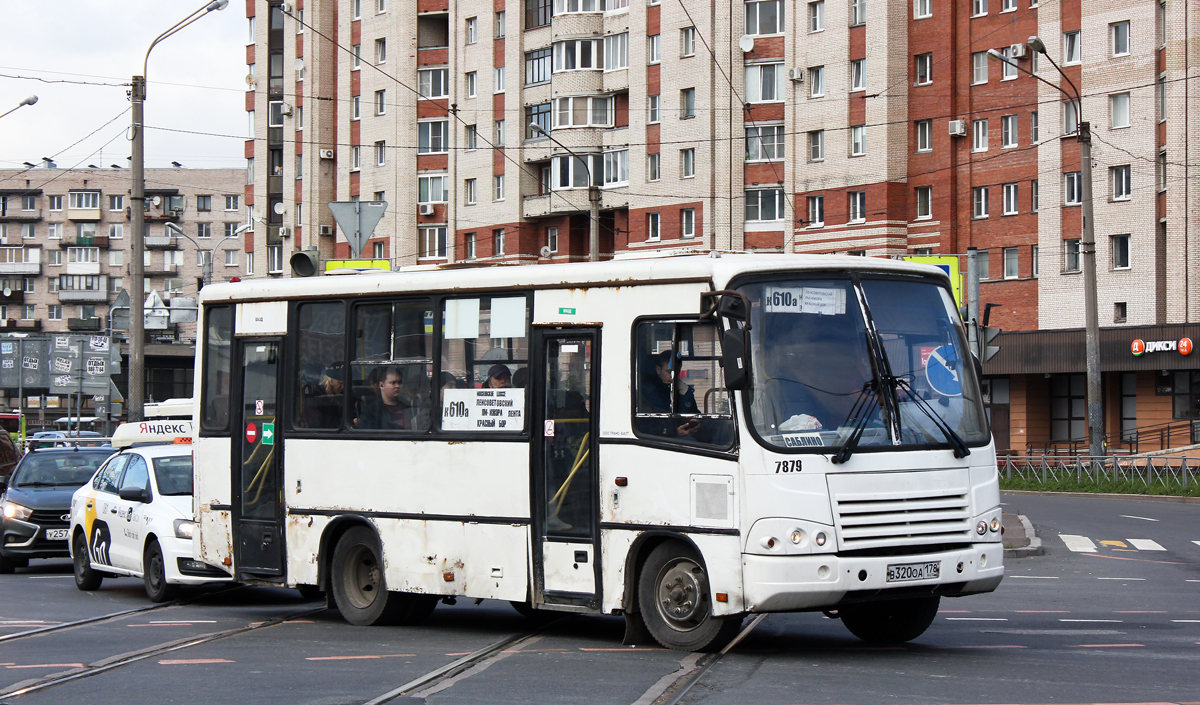 Ленинградская область, ПАЗ-320402-05 № 7879