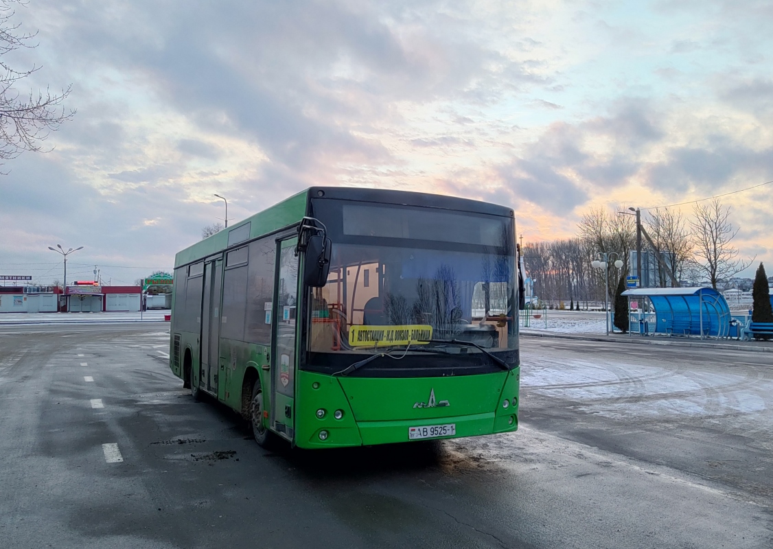 Брестская область, МАЗ-206.060 № 22020