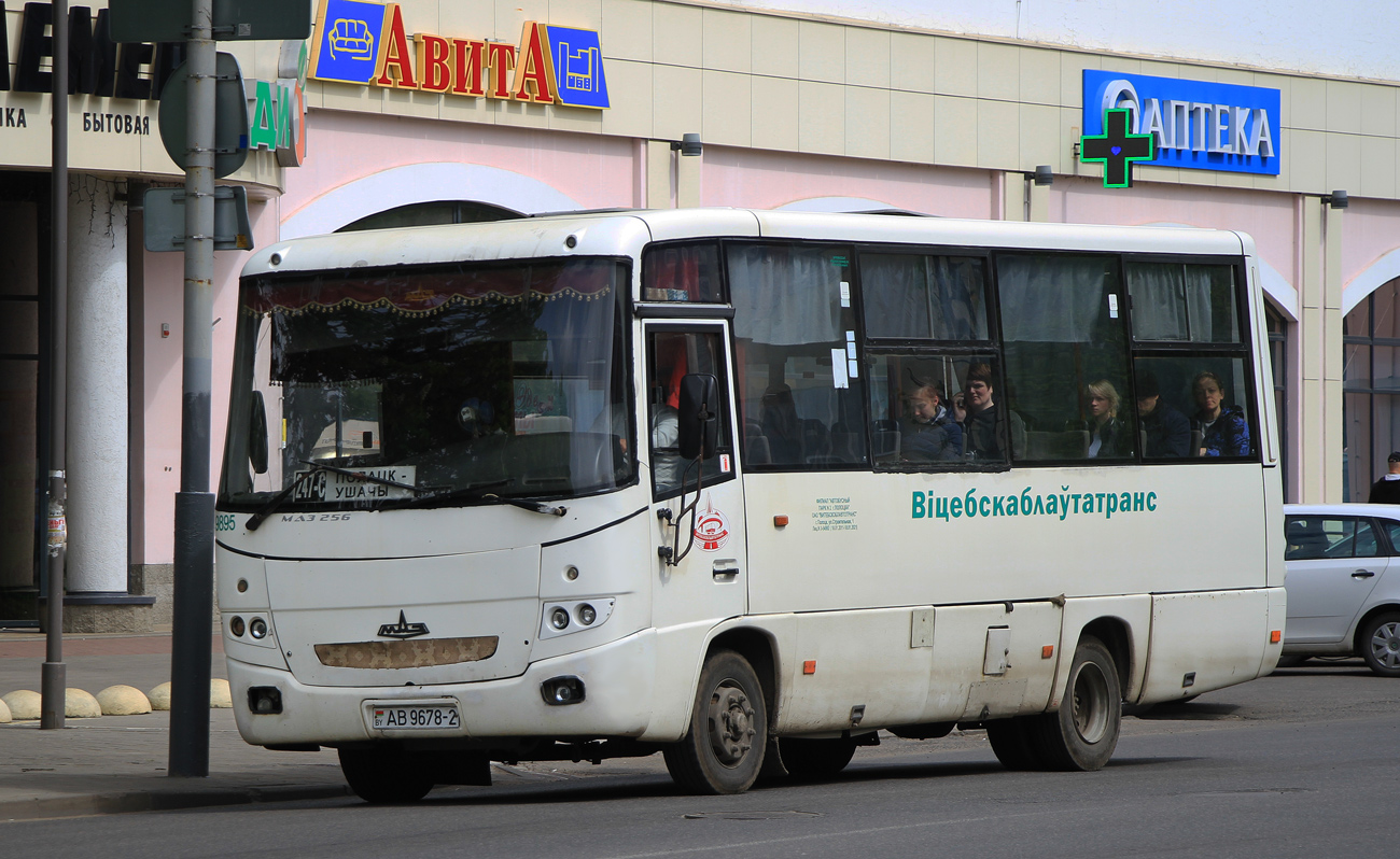 Витебская область, МАЗ-256.270 № 019895