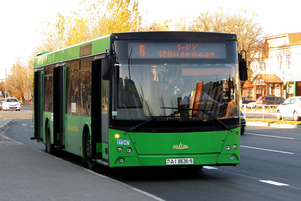 Минская область, МАЗ-203.065 № 011347 Минская область, МАЗ-203.065 № 011347