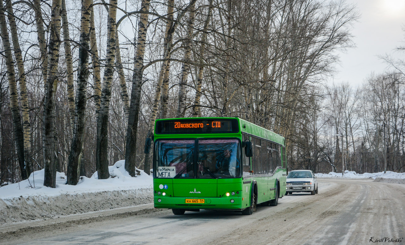 Новосибирская область, МАЗ-103.465 № 4146