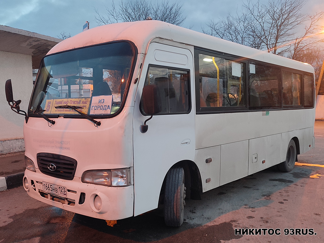 Krasnodar region, Hyundai County LWB C11 (TagAZ) # Т 665 НВ 123