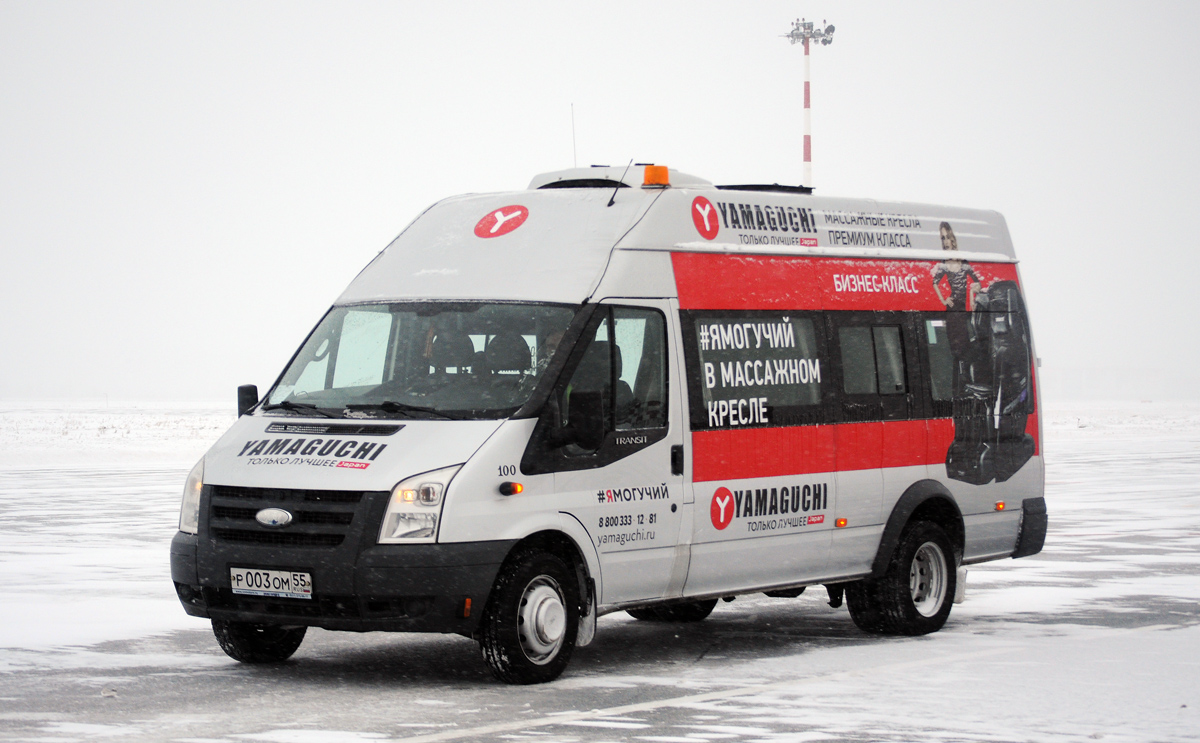 Омская область, Нижегородец-222701 (Ford Transit) № 100