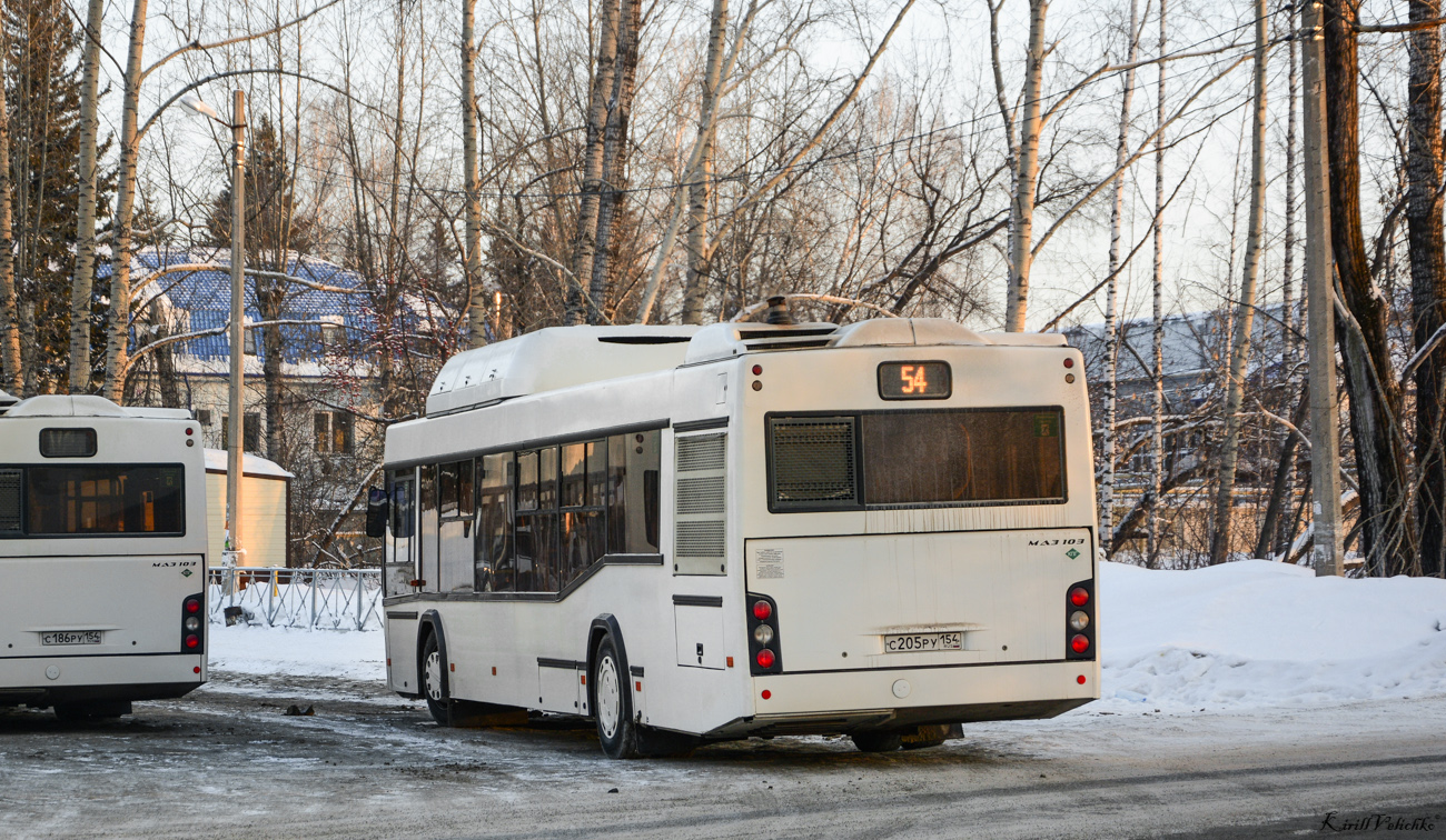 Новосибирская область, МАЗ-103.965 № 11008