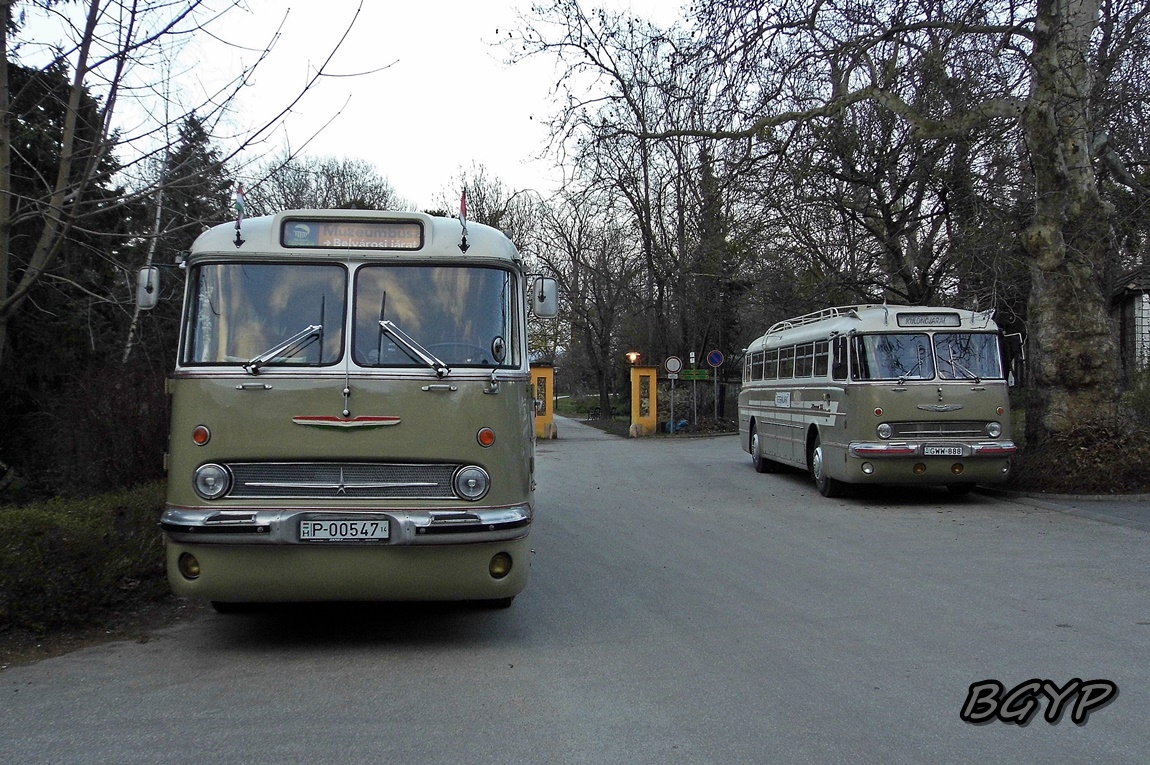 Венгрия, Ikarus  55.21 № P-00547 14; Венгрия, Ikarus  55.22 № GWW-888