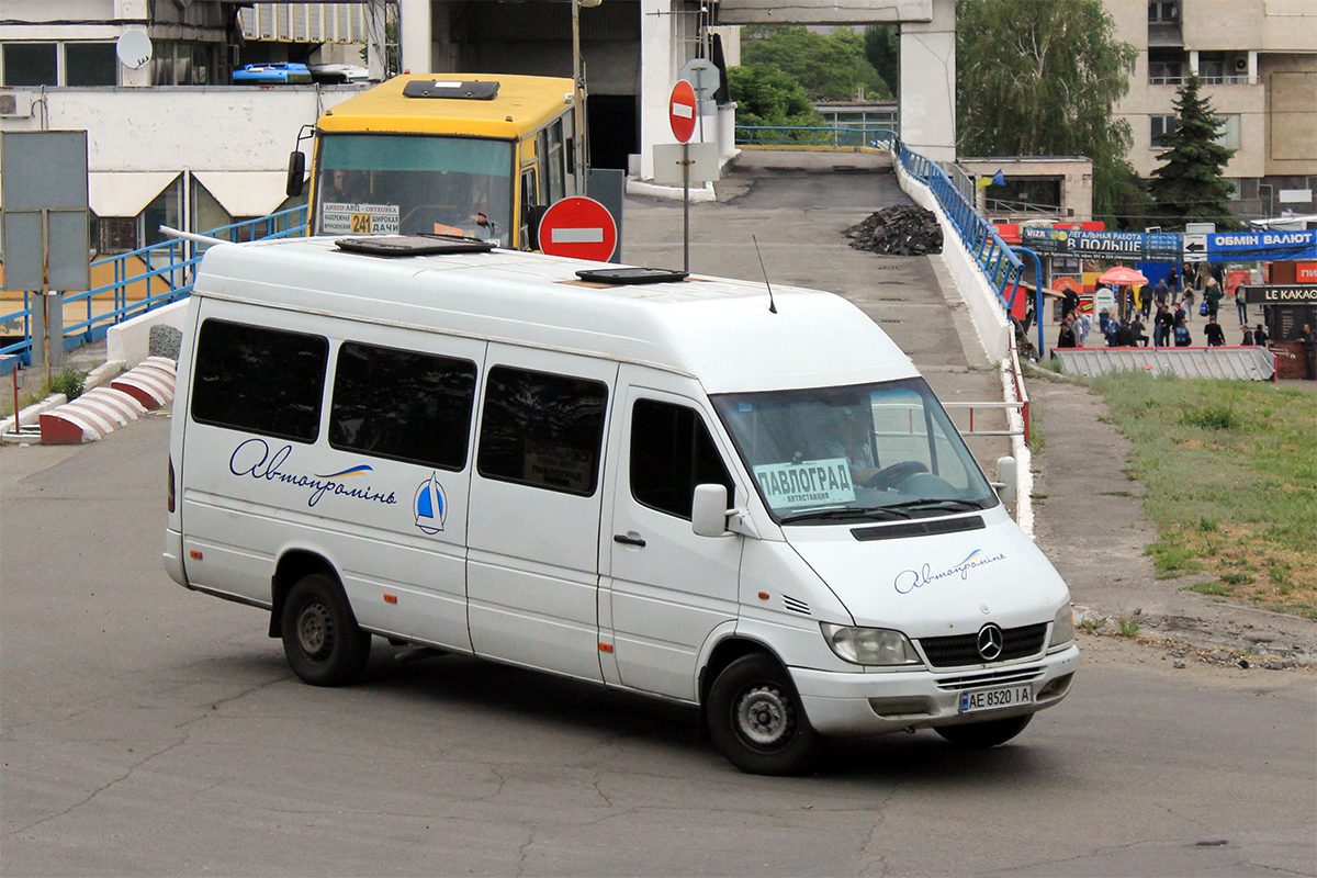 Днепропетровская область, Mercedes-Benz Sprinter W903 313CDI № AE 8520 IA