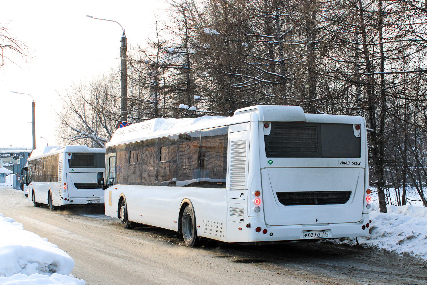 Кировская область, ЛиАЗ-5292.67 (CNG) № х680