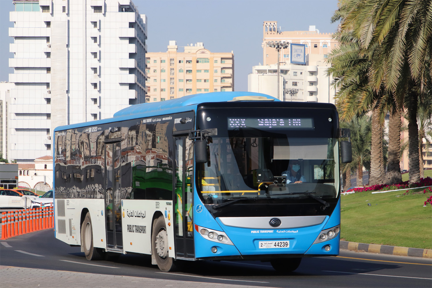 ОАЭ, Yutong ZK6128HGE № 8051