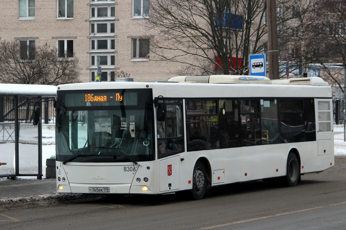 Санкт-Петербург, МАЗ-203.085 № 8306