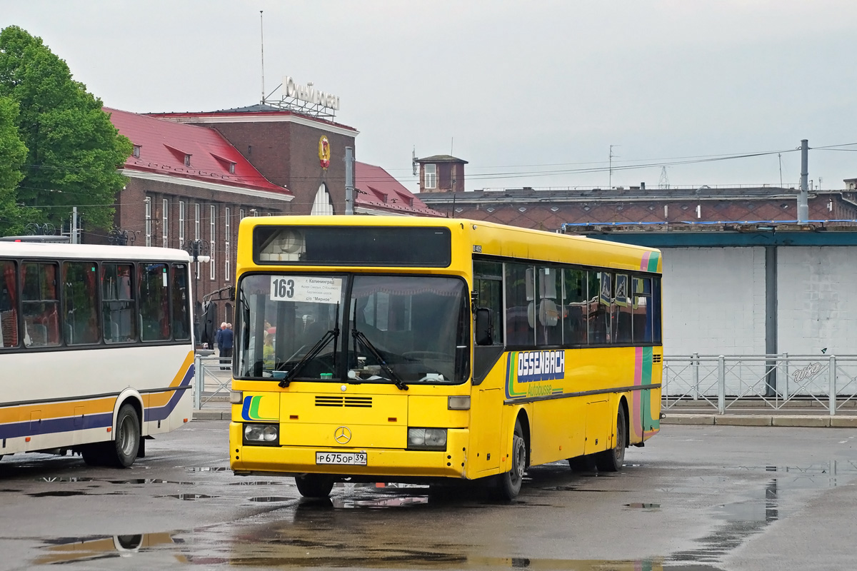 Калининградская область, Mercedes-Benz O405 № Р 675 ОР 39