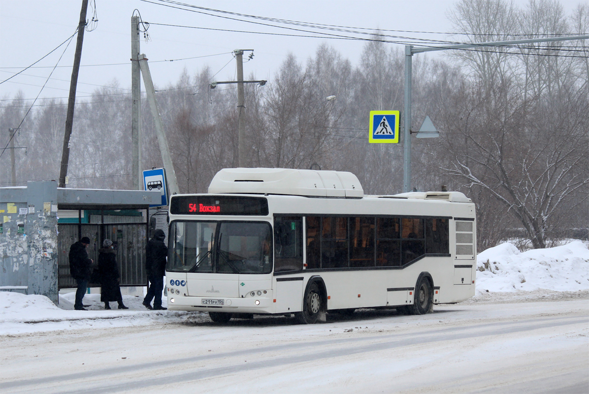 Новосибирская область, МАЗ-103.965 № 11010